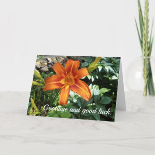 Festividades Cartão de Foto de Flor de Adeus ao Médico