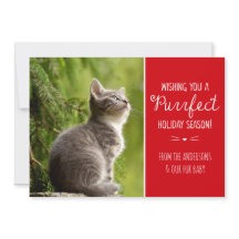 Cartão de Fotos de Férias com Tema de Gato Perfeit