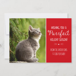 Festividades Cartão de Fotos de Férias com Tema de Gato Perfeit