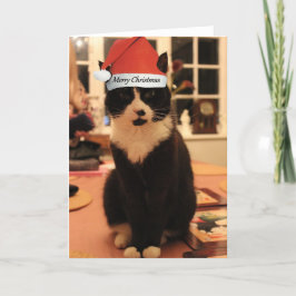 Festividades Cartão de gato de Natal feliz