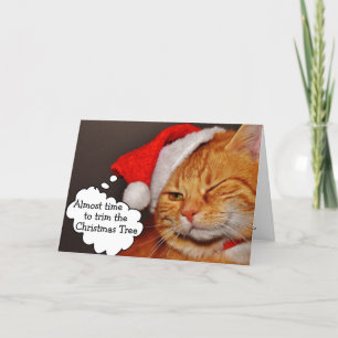 Festividades Cartão de Gato Feriado Feliz de Natal