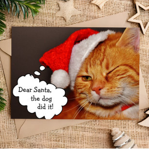 Festividades Cartão de Gato Feriado Feliz de Natal