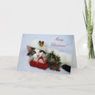 Festividades Cartão de Kitten Natal