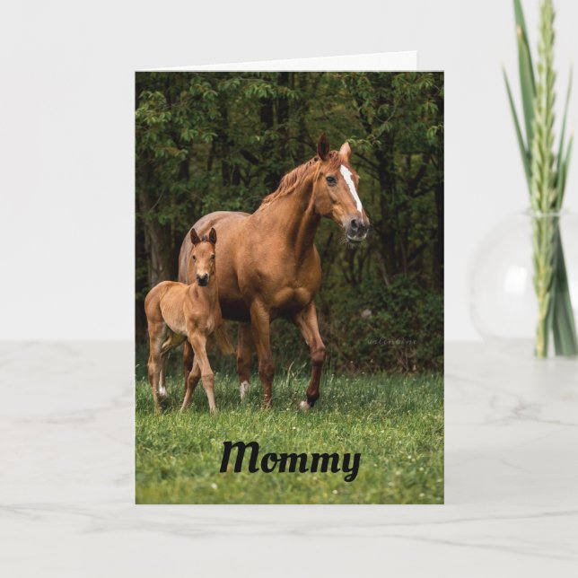 Festividades Cartão de Mãe Cavalo e Potro (Frente)