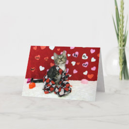 Festividades Cartão de Namorados de Bandit - Gato / Gatinho