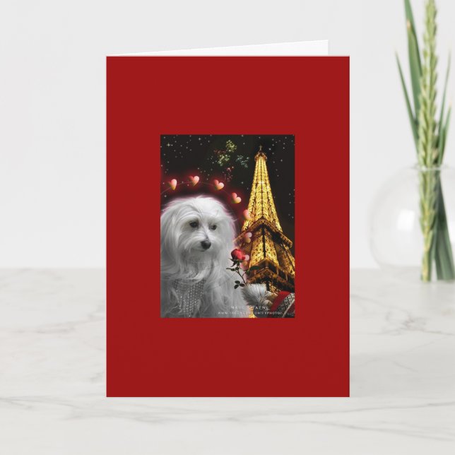 Festividades Cartão de Namorados para cães (Frente)