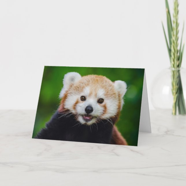 Festividades Cartão de Namorados Red Panda (Frente)