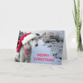 Festividades Cartão de Natal