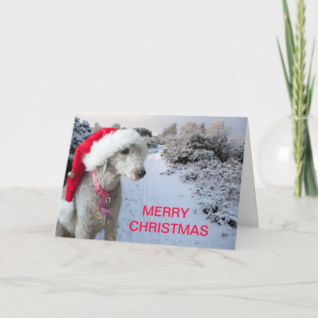 Festividades Cartão de Natal (Frente)