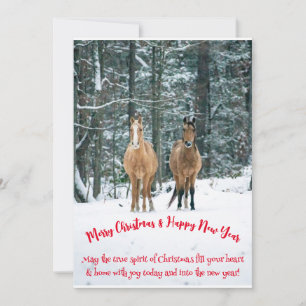 Festividades Cartão de Natal