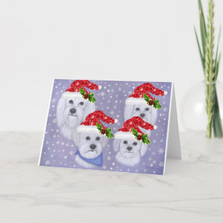 Festividades Cartão de Natal