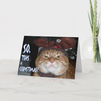 Festividades Cartão de Natal