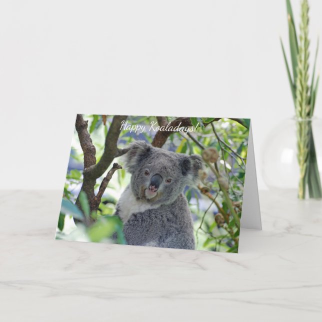 Festividades Cartão de Natal adorável feliz do koala de (Frente)