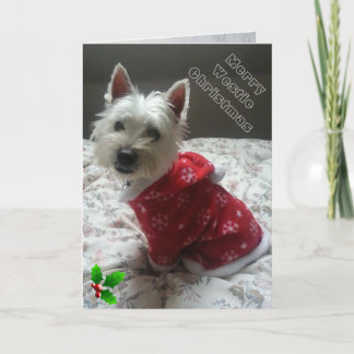Festividades Cartão de Natal alegre de Westie para seu amigo