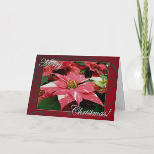 Festividades Cartão de Natal Alegre Poinsettia
