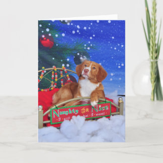 Festividades Cartão de Natal anunciando do Retriever do pato de