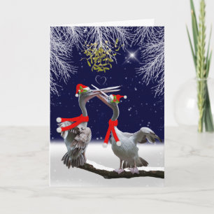 Festividades Cartão de Natal apaixonado dos pelicanos