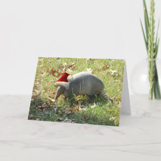 Festividades Cartão de Natal Armadillo