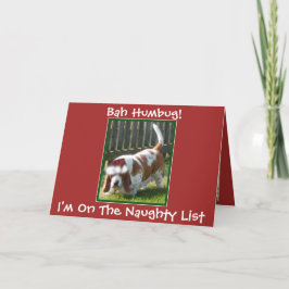 Festividades Cartão de Natal "Bah Humbug" engraçado com Hound B