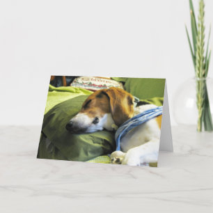 Festividades Cartão de Natal Beagle