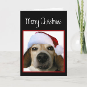 Festividades Cartão de Natal Beagle