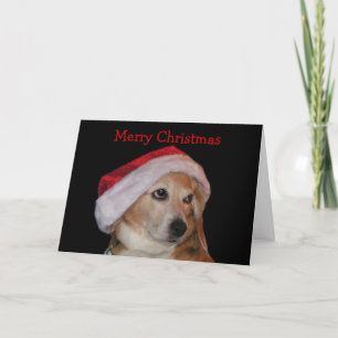 Festividades Cartão de Natal Beagle (Papais noeis)