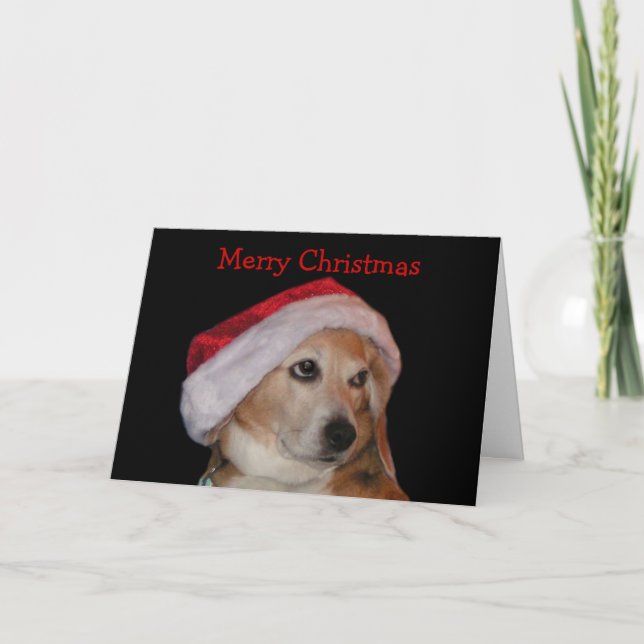 Festividades Cartão de Natal Beagle (Papais noeis) (Frente)