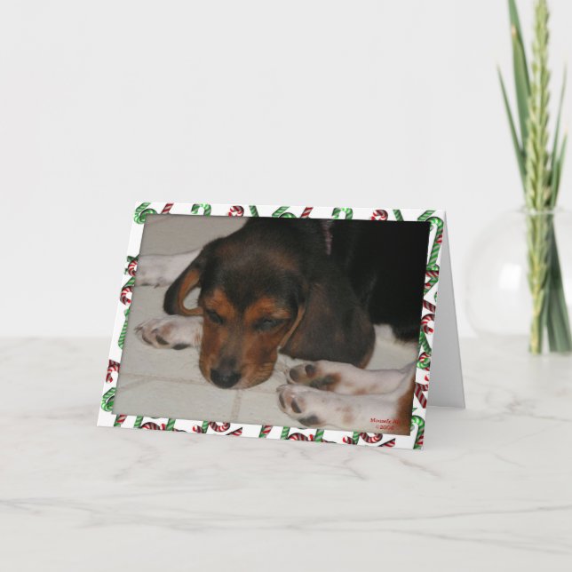 Festividades Cartão de Natal Beagle (Sonolento) (Frente)