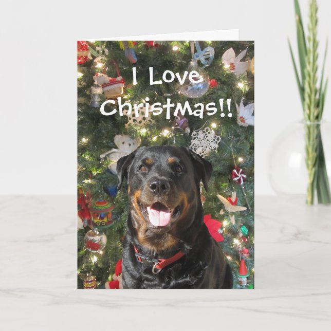 Festividades Cartão de Natal Bela Espírito Rottweiler (Frente)