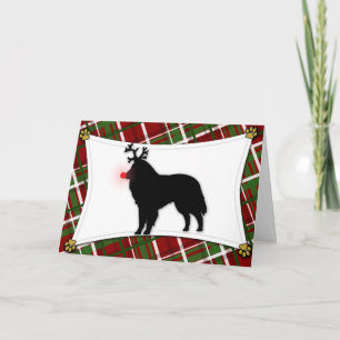 Festividades Cartão de Natal belga da rena do Sheepdog