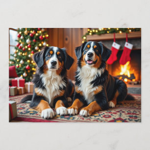 Festividades Cartão de Natal Berner Sennen