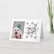 Cartão de Natal Bichon Maltês Cachorro