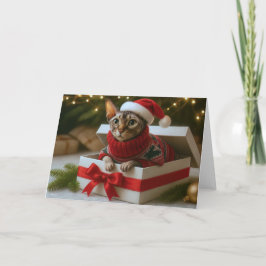 Festividades Cartão de Natal Bigodes e Rugas