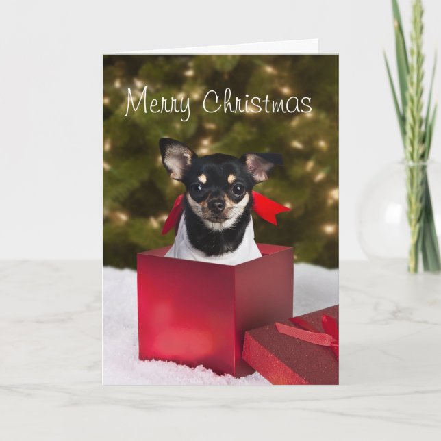 Festividades Cartão de Natal Black Chihuahua (Frente)