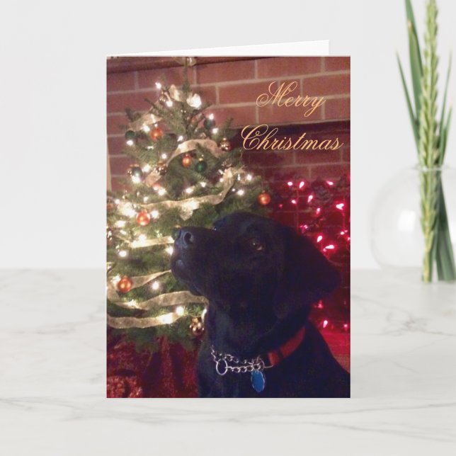 Festividades Cartão de Natal Black Lab (Frente)