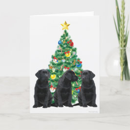 Festividades Cartão de Natal Black Labrador