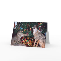 Cartão de Natal Bobcat Coyote Wild Animal Southwes