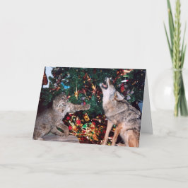 Festividades Cartão de Natal Bobcat Coyote Wild Animal Southwes