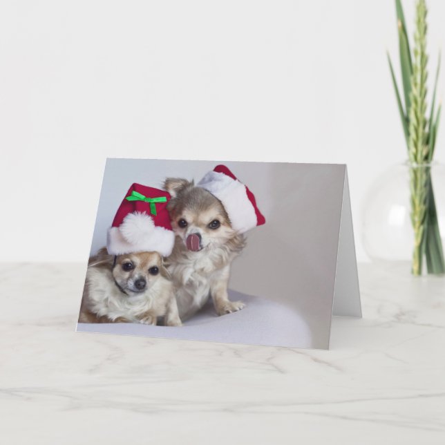 Festividades Cartão de Natal bonito das chihuahuas (Frente)