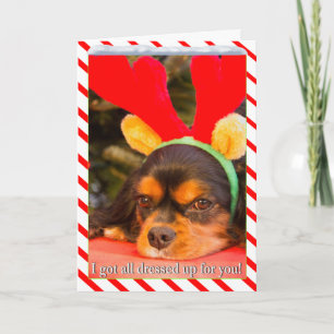 Festividades Cartão de Natal Bord do Rei Charles Spaniel Reinde