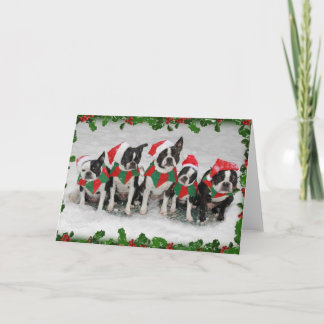 Festividades Cartão de Natal Boston Terrier