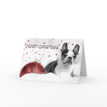 Cartão de Natal Boston Terrier