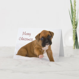 Festividades Cartão de Natal Boxer