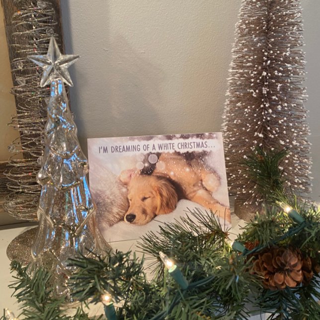 Festividades Cartão de Natal Branco para o ouro Retriever (Criador carregado)