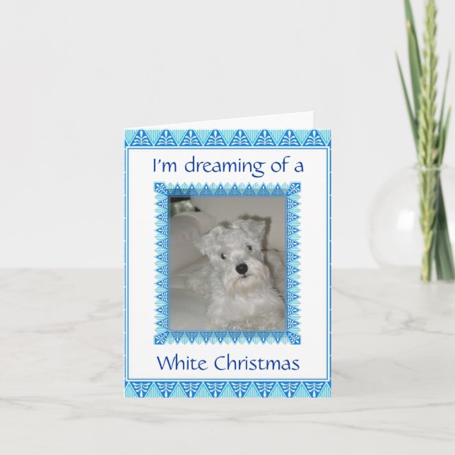 Festividades Cartão de Natal Branco Schnauzer (Frente)