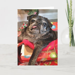 Festividades Cartão de Natal Bumblesnot
