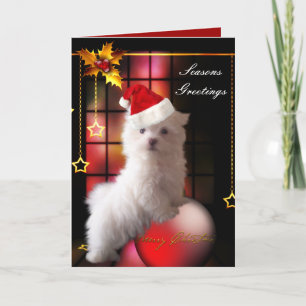 Festividades Cartão de Natal Cachorrinho Maltês Branco