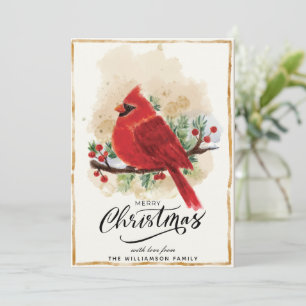 Festividades Cartão de Natal Cardinal Personalizado de Cores Aq