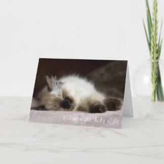 Festividades Cartão de Natal Catnapping