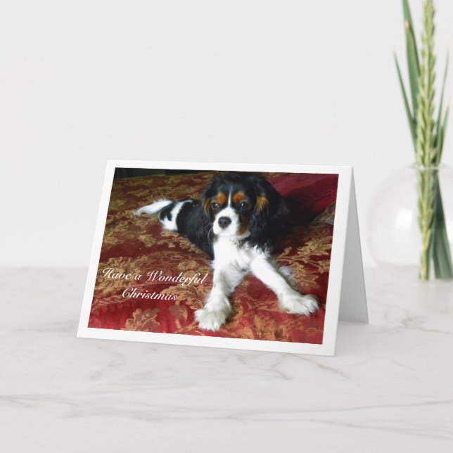 Festividades Cartão de Natal Cavalier King Charles Spaniel (Frente)